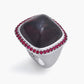 Magic Wish 18ct White Gold, Rubies & Garnet Ring
