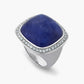 Magic Wish 18ct White Gold, Diamond & Tanzanite Ring