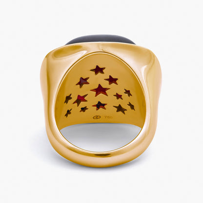Magic Wish 18ct Yellow Gold, Rubies & Garnet Ring
